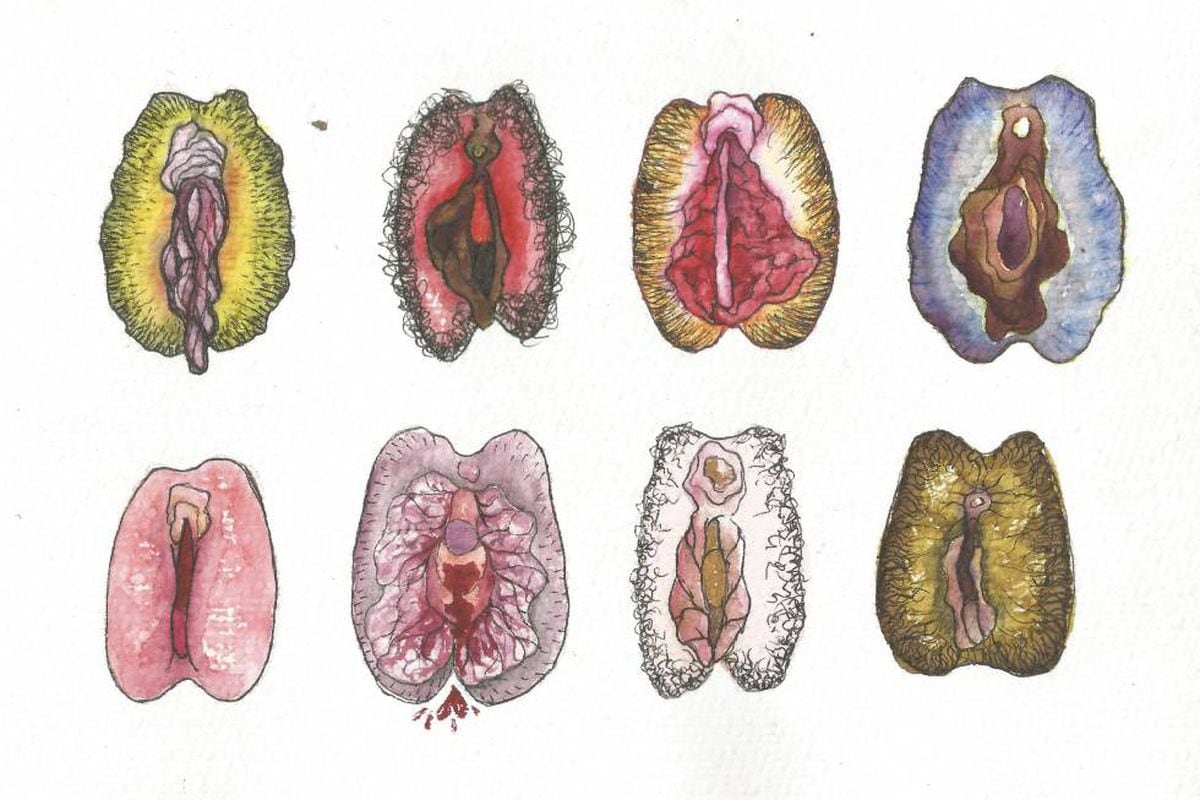 Anatomia De Uma Intimidade Confusa Quando Uma Vagina Normal Se