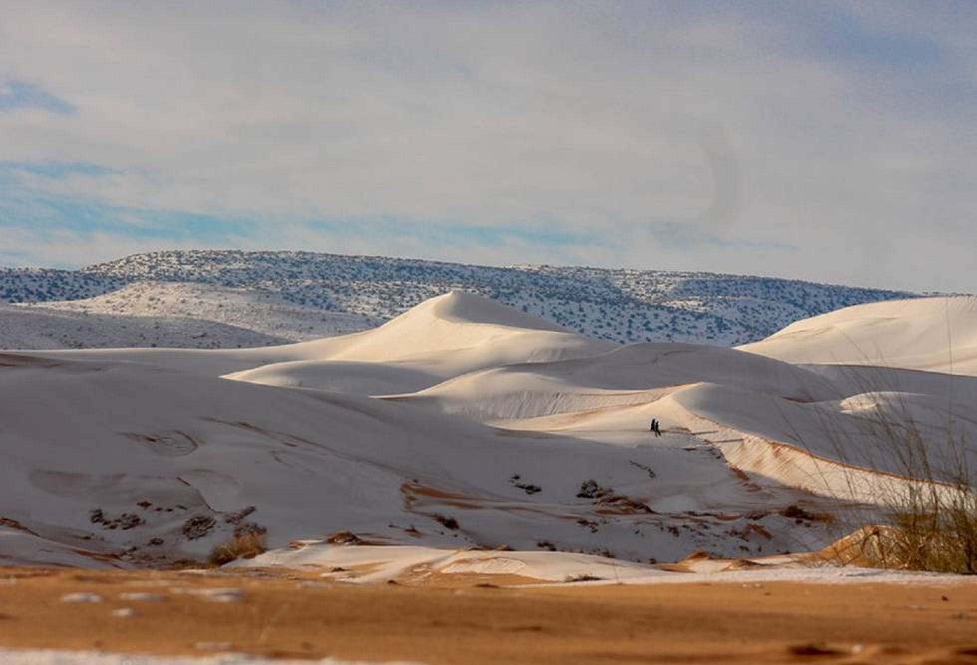 Dunas De Neve No Deserto Do Saara Internacional El Pa S Brasil