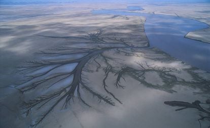 O delta do rio Colorado, na reserva da biosfera do Alto Golfo da Califórnia (México)