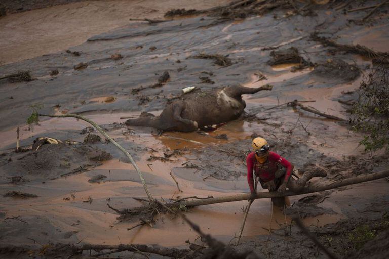 Cenário de destruição depois do rompimento da barragem