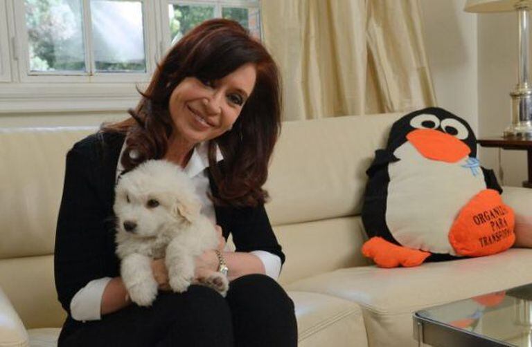 Cristina Fernández na sua mensagem de retorno.