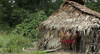 Uma família da etnia Yanomami na Amazônia brasileira.