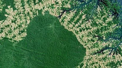 Imagem de satélite do desmatamento no norte da Terra Indígena Parakanã, no Pará