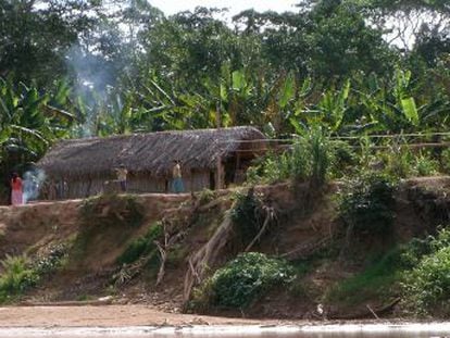 Os anciãos de um povo amazônico, os tsimanes, têm a mesma saúde vascular que um ocidental de 50 anos