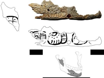 Fragmento de troféu de crânio de Pacbitun.