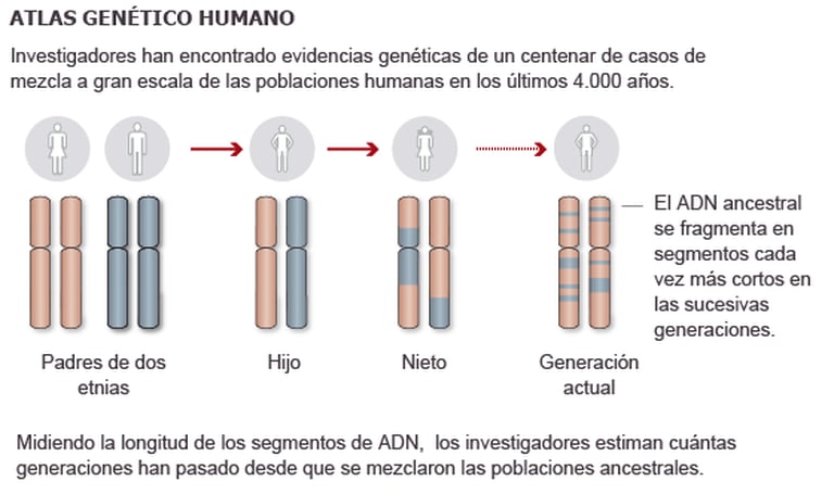 Atlas Genético Humano (UCL, Oxford Instituto Max Planck).