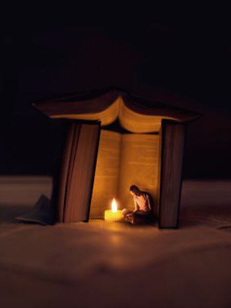 Uma imagem composta para representar a leitura e a cultura em geral como um refúgio.