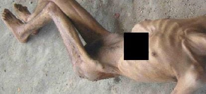 Imagem de um corpo em uma prisão síria.