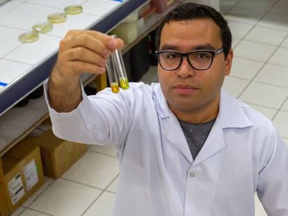 Pesquisador Lucas Pinheiro Dias, no laboratório da Universidade Federal do Ceará.