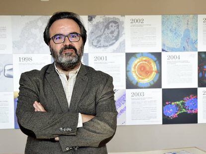 O biólogo Lluís Montoliu, do Centro Nacional de Biotecnologia, em Madri.