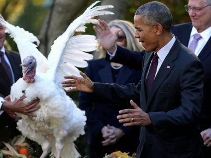 Barack Obama, depois de perdoar peru do dia de Ação de Graças.