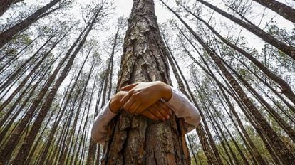 Menino celebra o Dia Mundial do Meio Ambiente no bosque de Gokarna, no Nepal