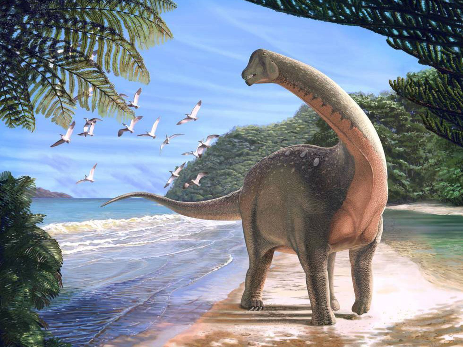 Nova espécie de dinossauro gigante é encontrada na Índia