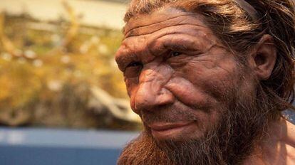 Reconstrução de um Neandertal no Museu de História Natural.