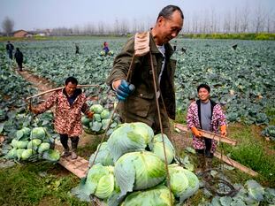 Camponeses da província de Hunan, na fronteira com Hubei, no dia 5 de março.