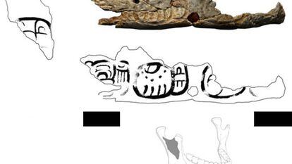Fragmento de troféu de crânio de Pacbitun.