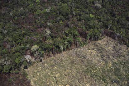 Área desmatada na floresta amazônica para agricultura.
