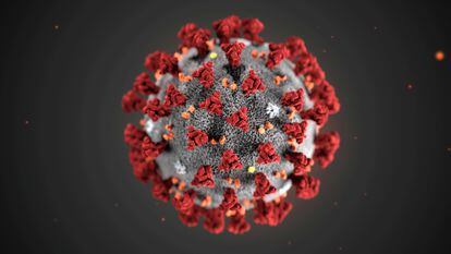 Ilustração do coronavírus criado pelo Centros de Controle e Prevenção de Doenças (CDC), dos Estados Unidos.