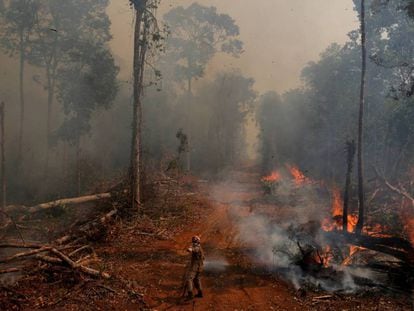 Bombeiro trabalha para apagar o fogo na Amazônia.