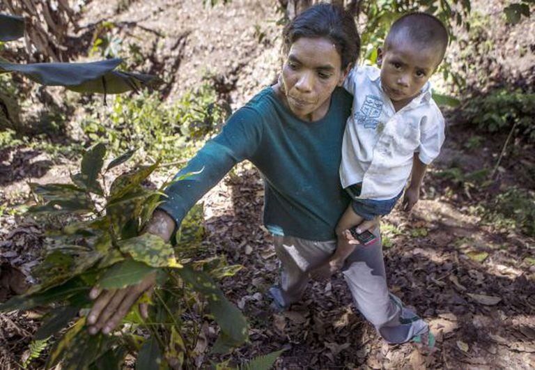 Uma mulher e seu filho com uma planta atingida.