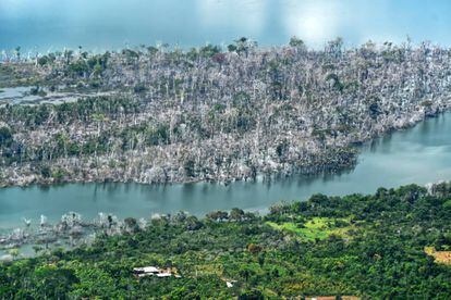 Vista aérea de uma parte da floresta amazônica incendiada no Brasil.