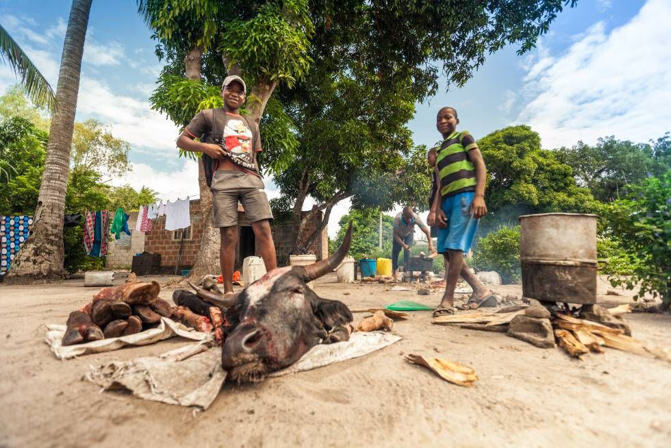 Manhiça é um município rural e pobre, no sul de Moçambique.