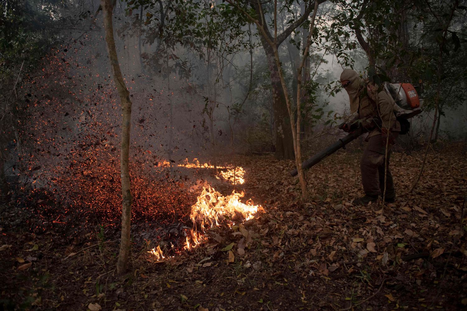 Brigadista em Porto Jofre, no Pantanal mato-grosssense, em 14 de setembro.