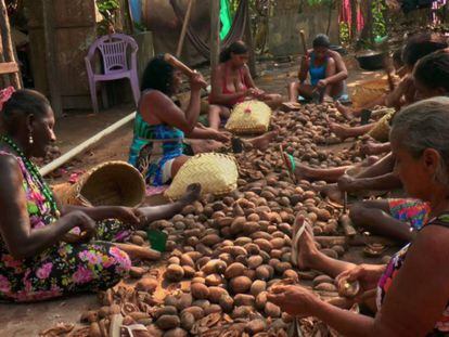 Quebradeiras de coco no documentário 'Vozes da Amazônia'.