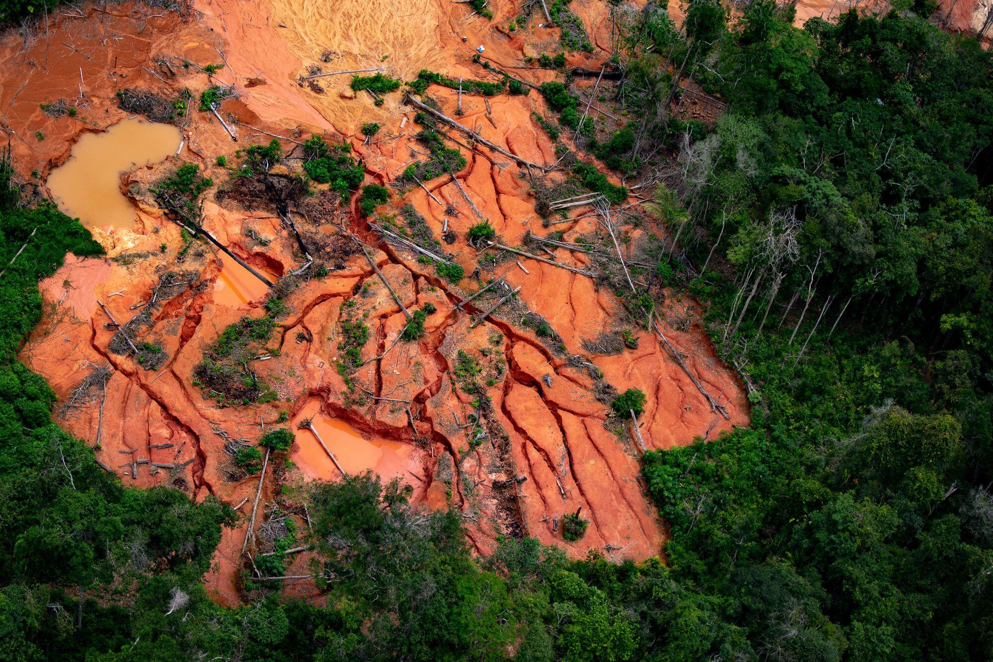 Área impactada pelo garimpo na região do Apiaú na Terra Indígena Yanomami.