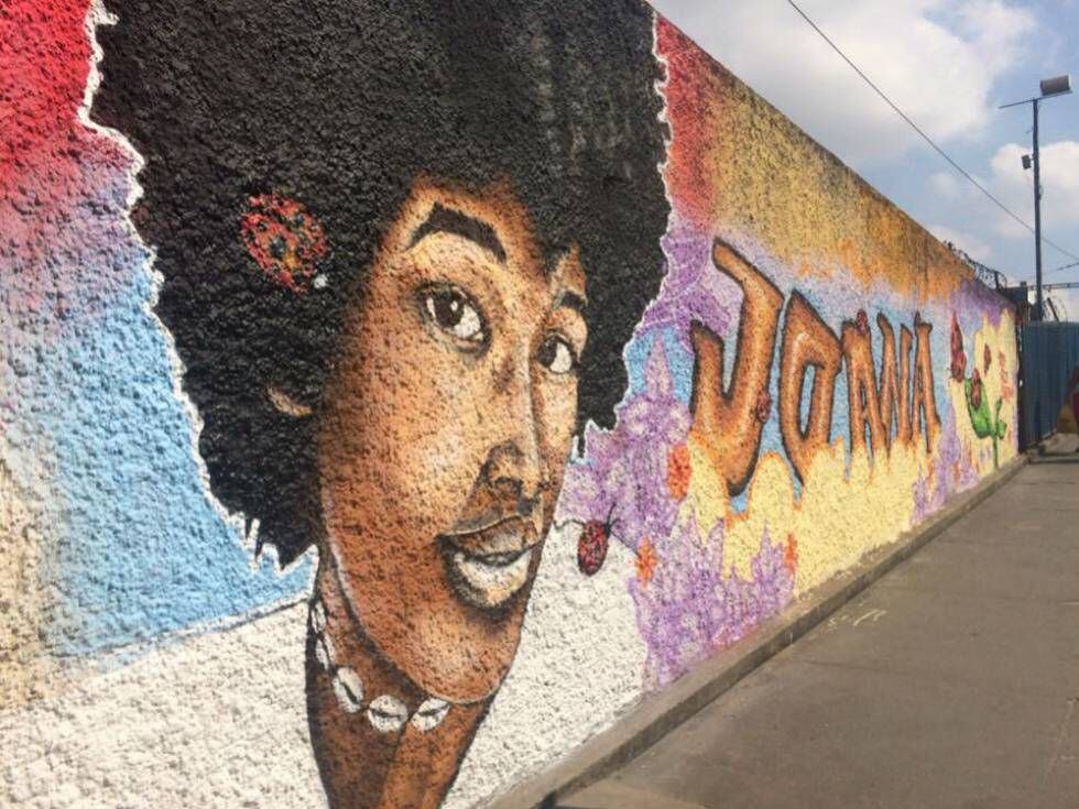 Muro em homenagem a Joana Bonifácio foi pintado próximo a estação Coelho da Rocha.
