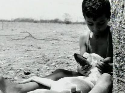 Cena do filme 'Vidas Secas', de Nelson Pereira dos Santos.