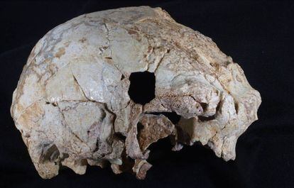 Pedaço de um crânio encontrado na gruta de Aroeira (Portugal)