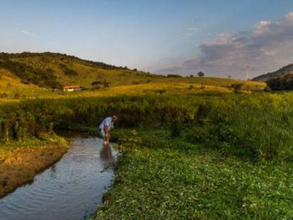 Água no Brasil: Insípida, incolor, inodora e com agrotóxicos