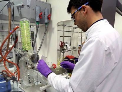 Técnicos de laboratório trabalham na empresa PharmaMar.