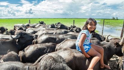 A estudante Sthefany do Amaral, de 9 anos, no lombo de um dos búfalos criados por seu pai, na resex Verde Para Sempre.