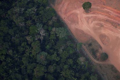 Vista aérea de uma zona deforestada cerca de Porto Velho (Estado de Rondonia).