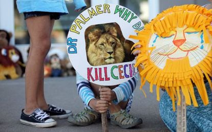 Criança protesta contra morte do leão Cecil em Minnesota, EUA, em frente à clínica do dentista Walter Palmer.