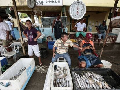 Pescadores no sábado na cidade equatoriana de Pedernales