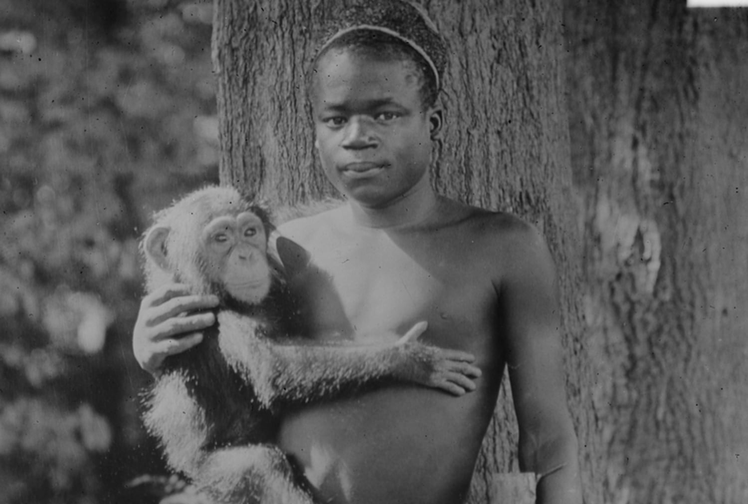 Ota Benga,  uma das vítimas dos zoológicos humanos, exibido no final do século XIX em Nova York com um macaco.