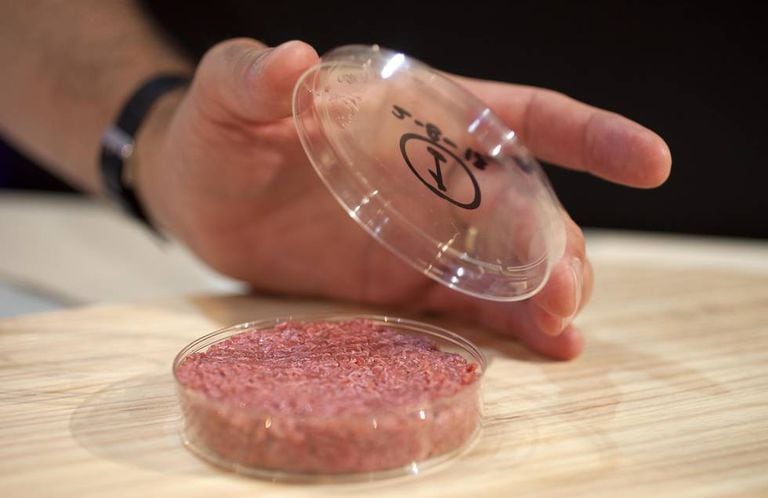 Carne cultivada em laboratório a partir de células-tronco de vaca.