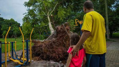 Pai e filha observam uma árvore caída na zona oeste.