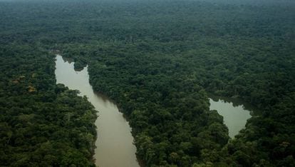 Foto aérea sobre a Terra do Meio, no Pará, hoje ameaçada pela grilagem