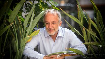 O cientista italiano Stefano Mancuso, no Centro de Cultura Contemporânea de Barcelona (CCCB), em 7 de julho.