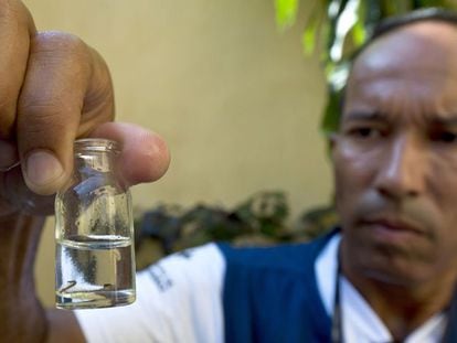 Um empregado de saúde pública recolhe larvas dos mosquitos que transmite o zika em Sao Paulo.