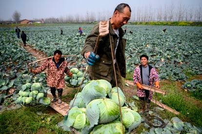 Camponeses da província de Hunan, na fronteira com Hubei, no dia 5 de março.