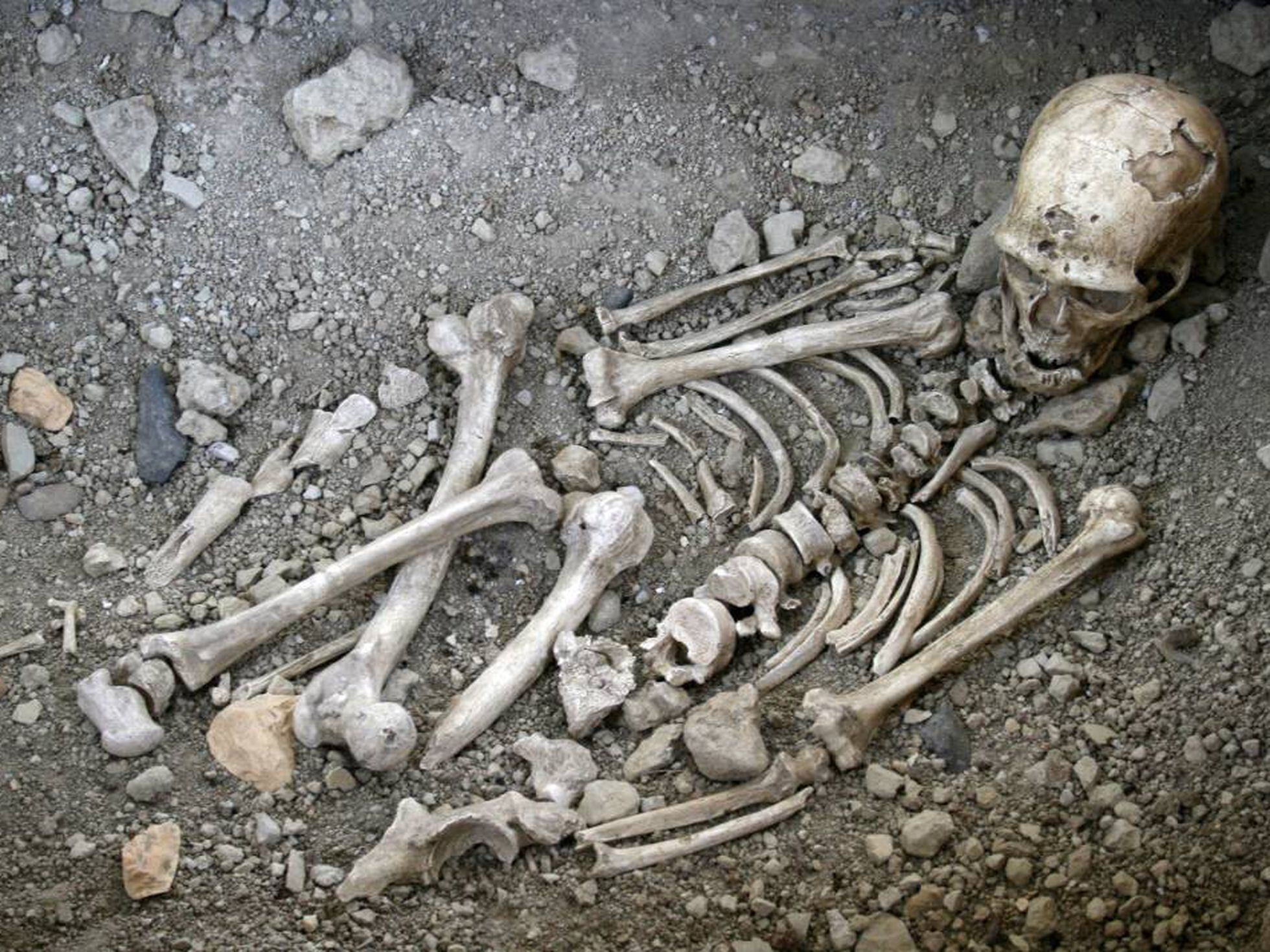 Hominídeo fazia enterros e isso pode mudar o que se sabemos sobre nós