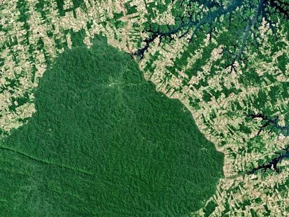 Imagem de satélite do desmatamento no norte da Terra Indígena Parakanã, no Pará