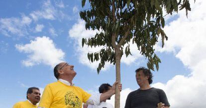 O Governador de S&atilde;o Paulo, Geraldo Alckmin, observa muda da &aacute;rvore plantada no Pomar Urbano