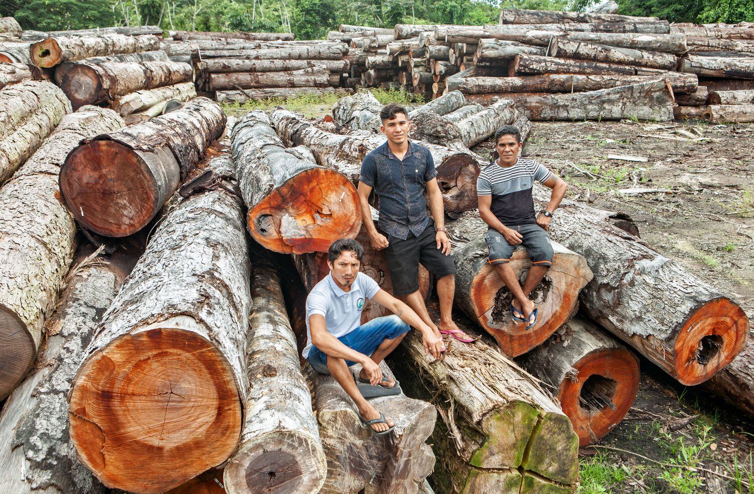 Extrativistas que trabalham no plano de manejo florestal sustentável: Elivaldo Ribeiro, Rosilei Barbosa Pimentel e Romildo Pimentel.                                                                                        