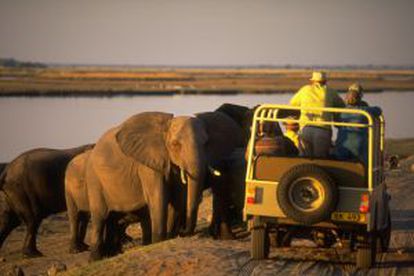 Um 4x4 passa entre elefantes em Botsuana.